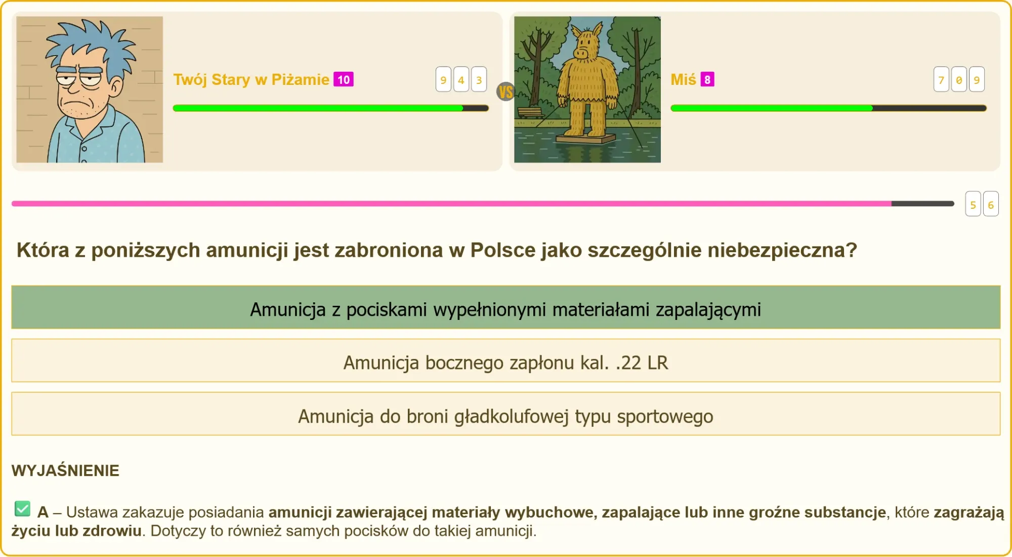 Rodzaje amunicji - która jest zakazana w Polsce?